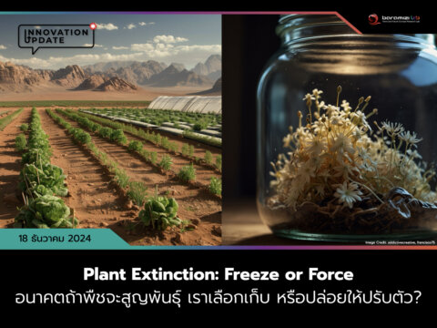 Plant Extinction Freeze or Force_BaramiziLab