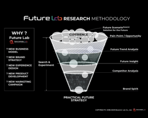 Future Lab Research Methodology