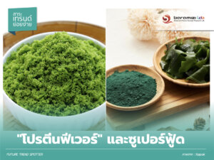 โปรตีนฟีเวอร์และซูเปอร์ฟู้ด