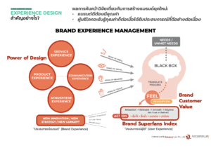 Brand Experience Model